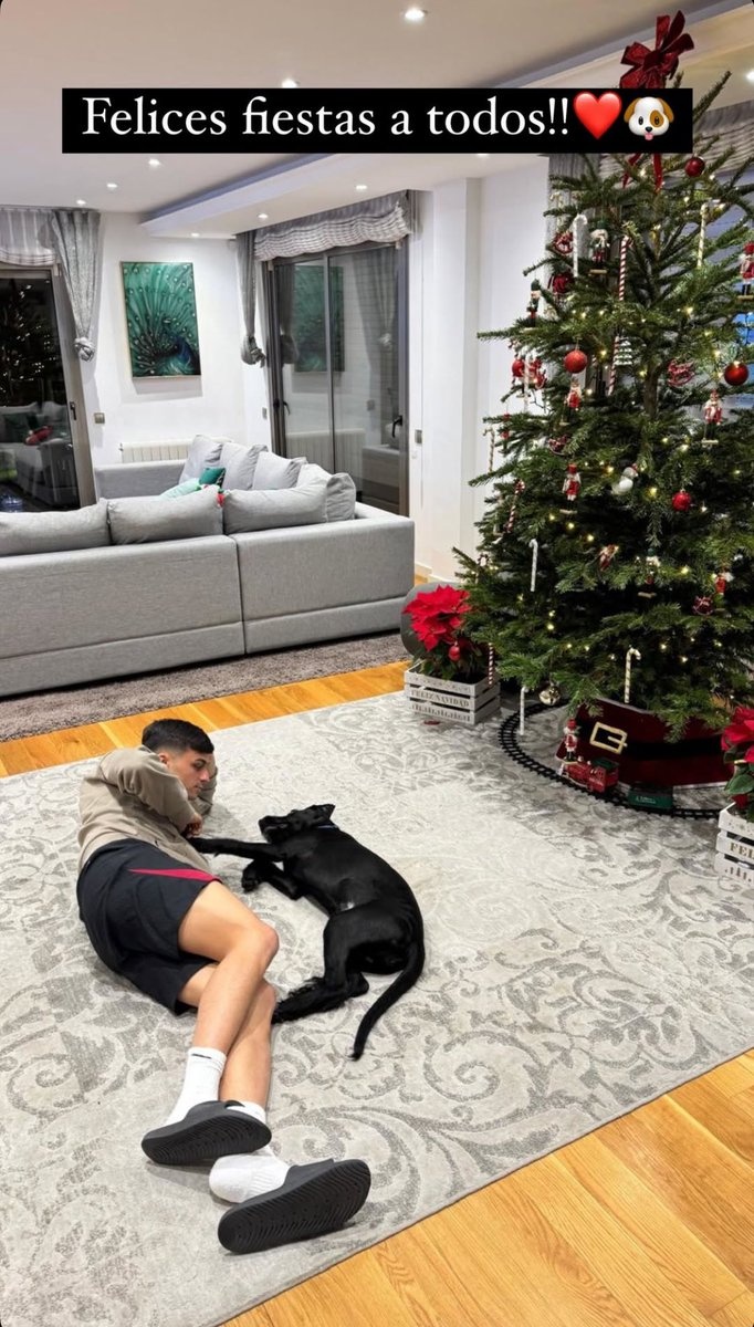 別人曬女友你曬狗，佩德里社媒曬照與愛犬共度平安夜??</p>
                    </div>

                    <br />
                    <div   id=